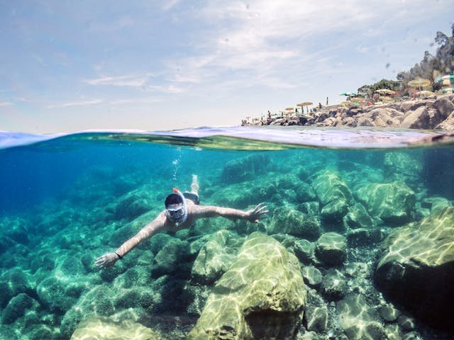 Gear Up and Go: Essential Snorkeling Tips