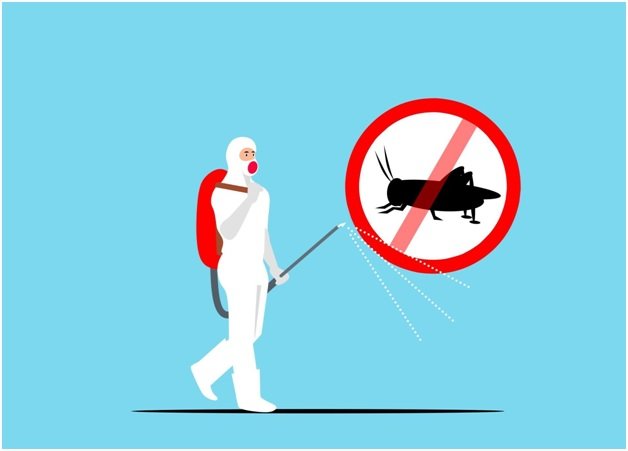 Top 6 Signs You Need Emergency Pest Control Services