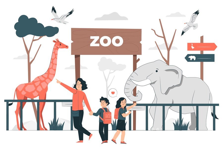 Art of Zoo