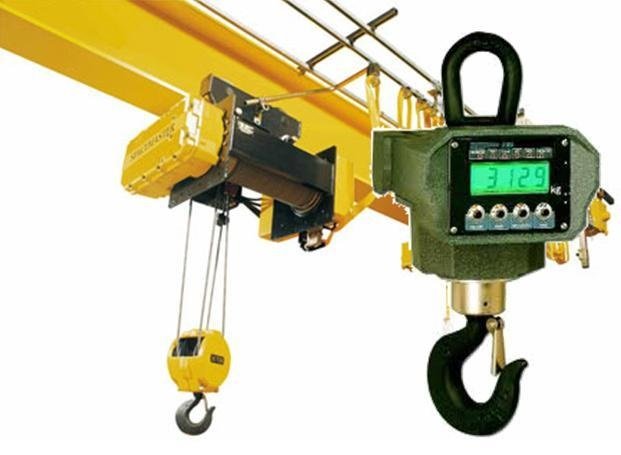 Uses of Load Cells in a Crane